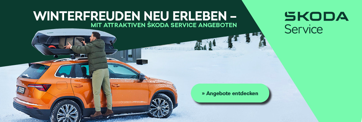 Skoda Winter Service Angebote Autohaus Tepass